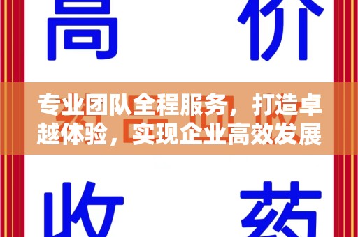 长沙专业团队全程服务，打造卓越体验，实现企业高效发展