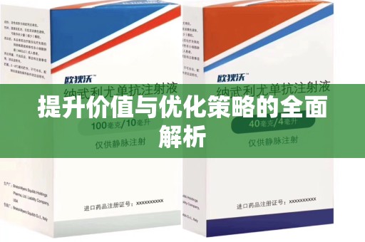 长沙提升价值与优化策略的全面解析