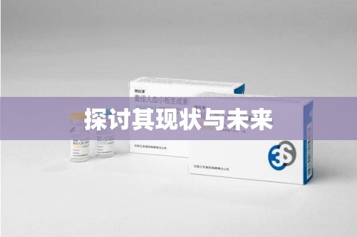 长沙探讨其现状与未来