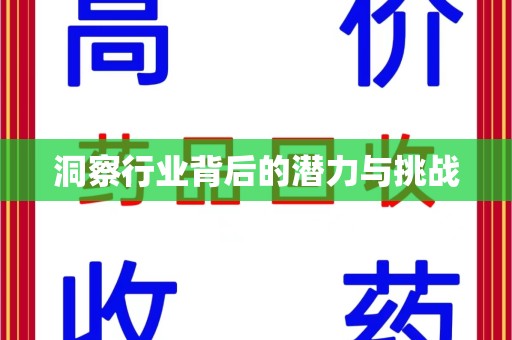 长沙洞察行业背后的潜力与挑战