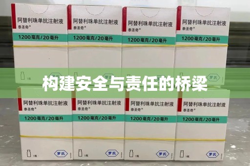 长沙构建安全与责任的桥梁