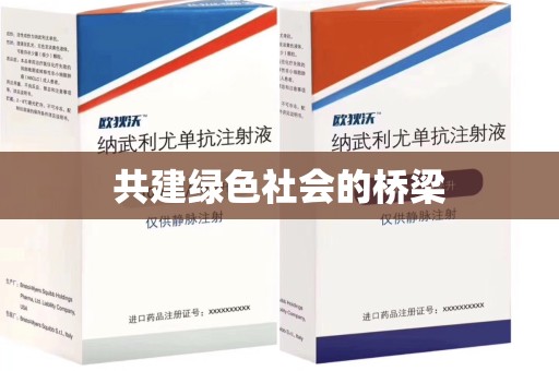 长沙共建绿色社会的桥梁