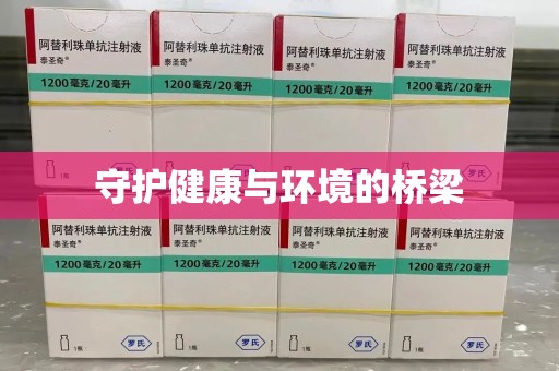 长沙守护健康与环境的桥梁