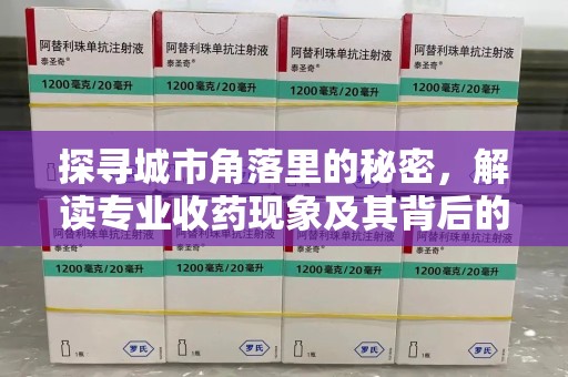 长沙探寻城市角落里的秘密，解读专业收药现象及其背后的故事